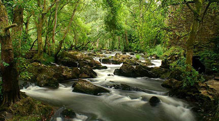 riomendo